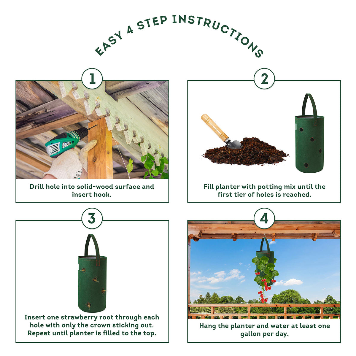 Pri Gardens hanging planter helps prevent overwatering while keeping fruit off wet soil.
