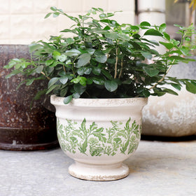 Pricetail ceramic pot with hand-painted green leaves enhances shelf styling