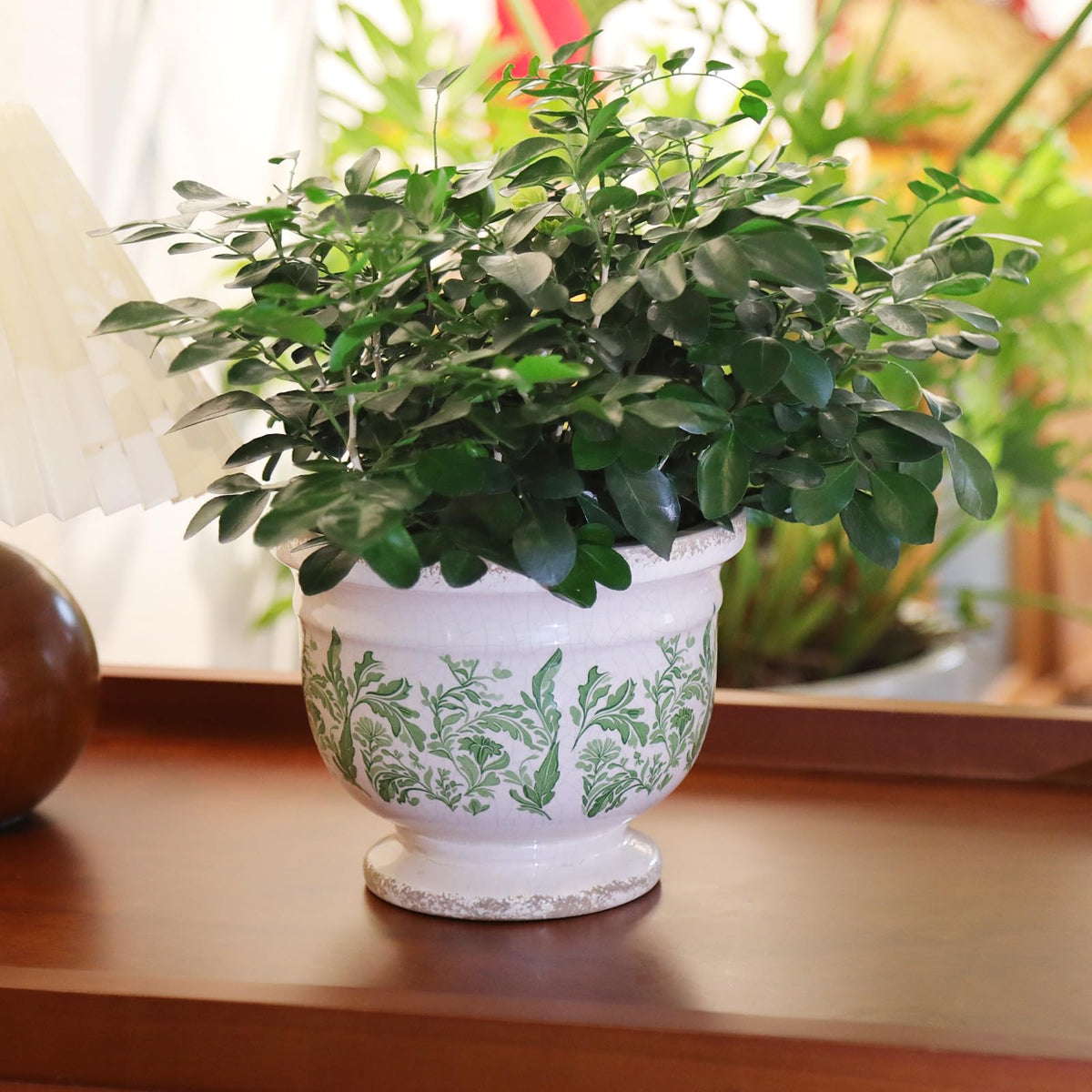 Pricetail indoor-outdoor versatility suits windowsills, balconies, and entryways