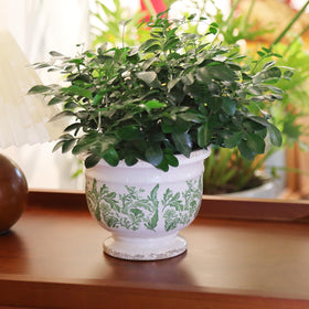 Pricetail indoor-outdoor versatility suits windowsills, balconies, and entryways