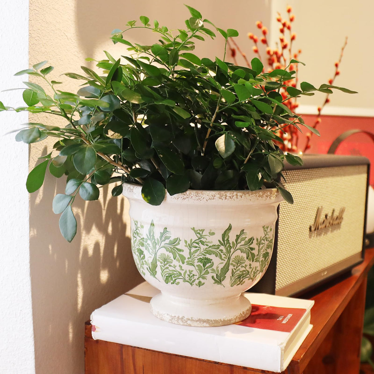 Pricetail six-point-eight-one-inch diameter planter fits small plants