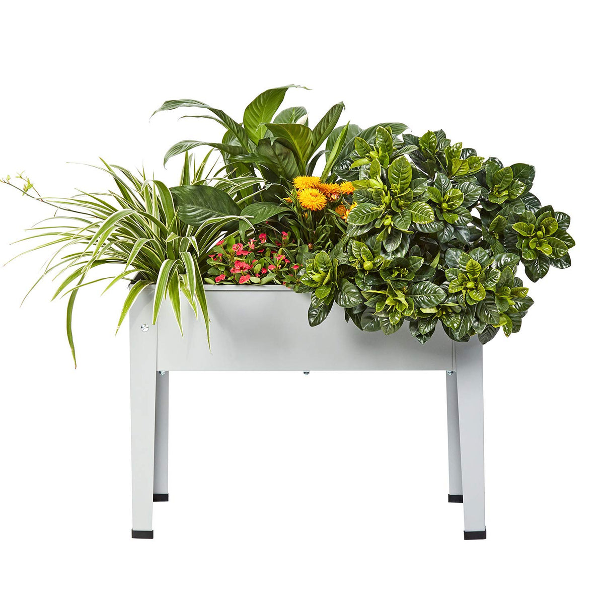 ProGard raised garden bed with legs on a grey balcony for easy herb cultivation.