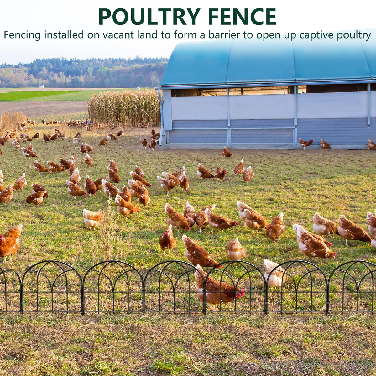 Promitop durable metal fence finish provides long-lasting border.