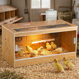 Proshine brooder box with lid; spacious 32in design for up to 30 chicks.
