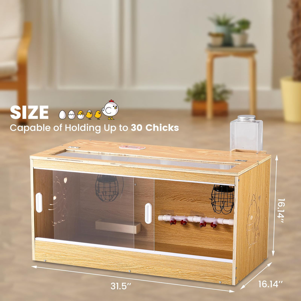 Proshine natural wood construction creates a safe, cozy chick environment.
