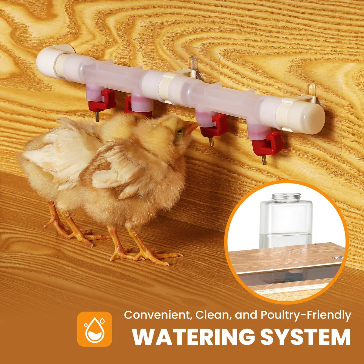 Proshine thermometer and ceramic heater enable precise temperature control.