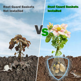 ProToolKit versatile uses in beds, pots, and garden borders