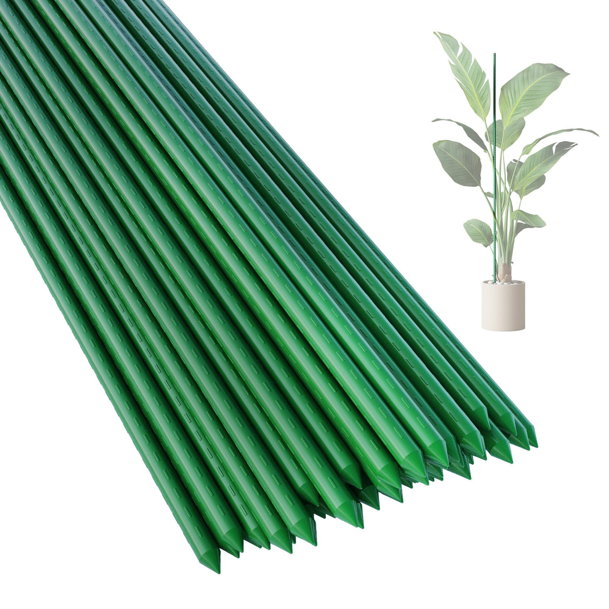 PROWORX 48inch stake ready for ground insertion to support climbing plants