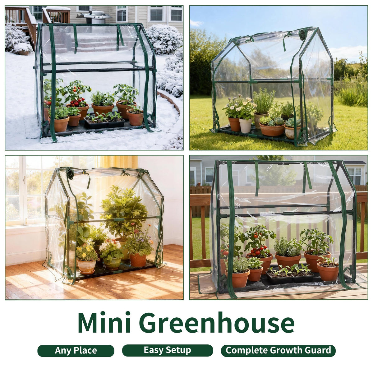 PROWORX mini greenhouse interior with young seedlings ready to grow