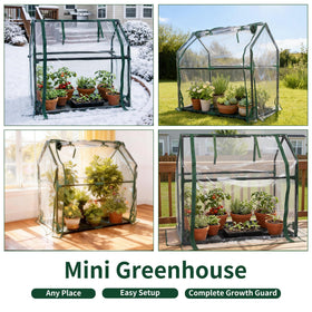 PROWORX mini greenhouse interior with young seedlings ready to grow