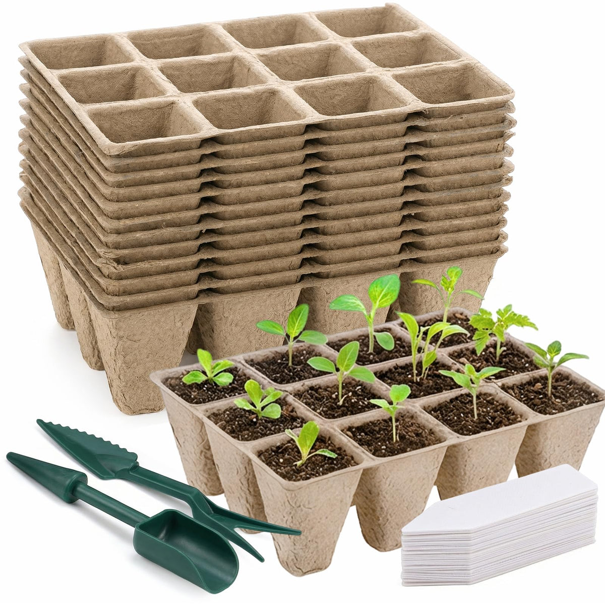 Prudiut 144-cell seed starter tray for efficient seedling progression