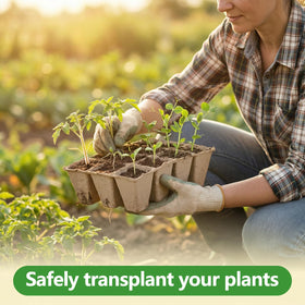 Prudiut natural pulp trays balance moisture and air for germination