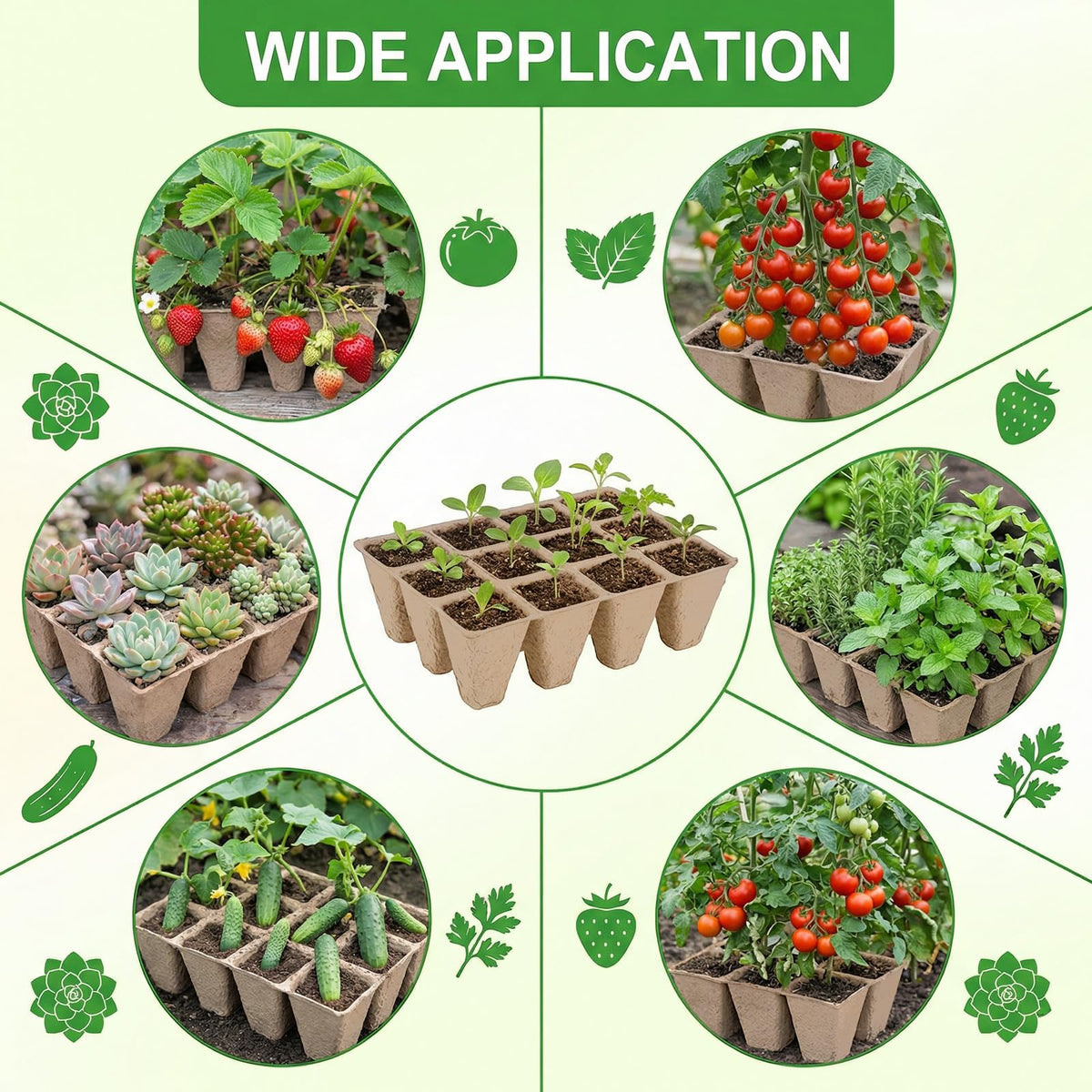 Prudiut indoor outdoor seed starting kit supports flexible propagation