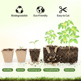 Prudiut seed labels help organize varieties for quick sowing