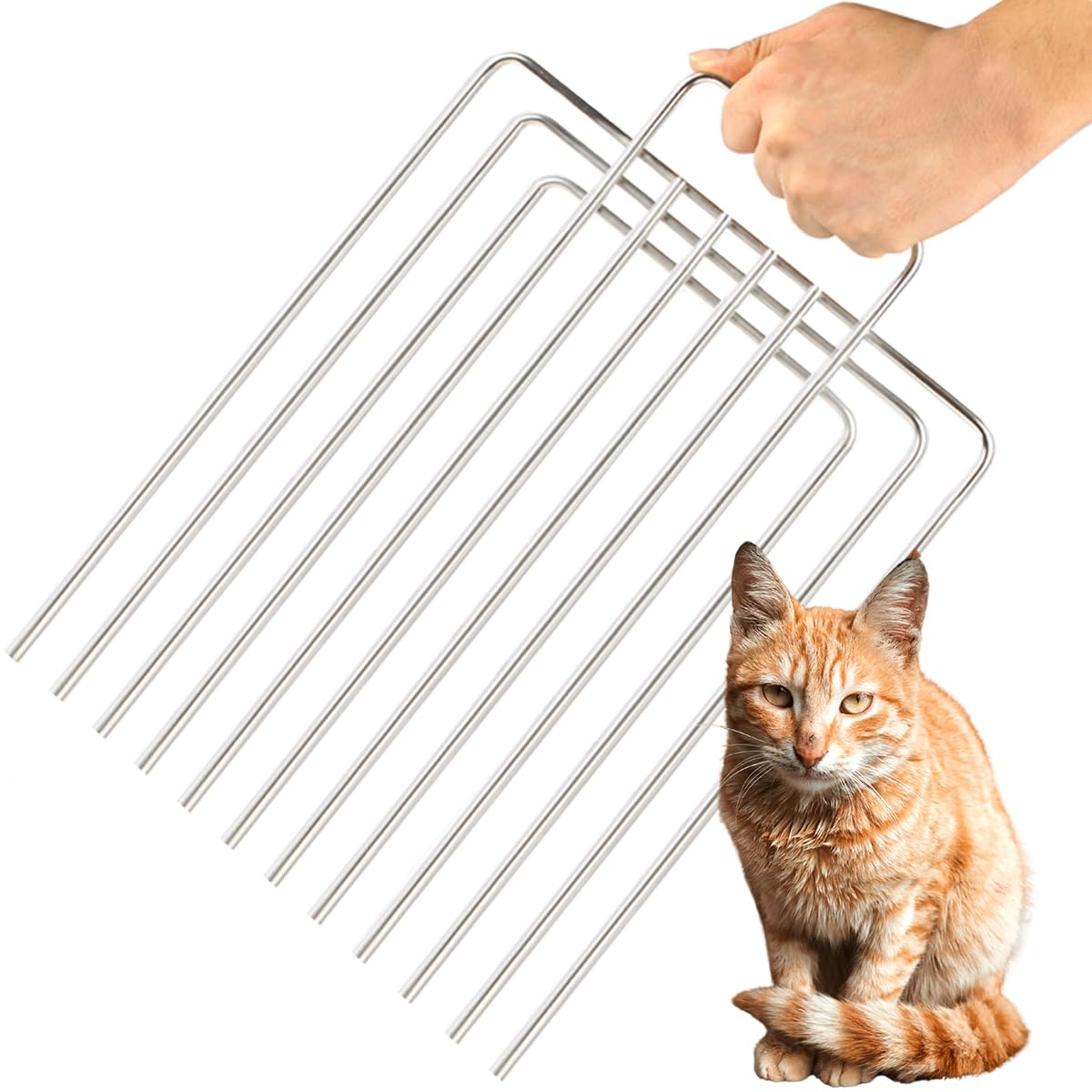 PrudoPex trap divider: heavy-duty 5mm stainless steel for secure feral cat handling.