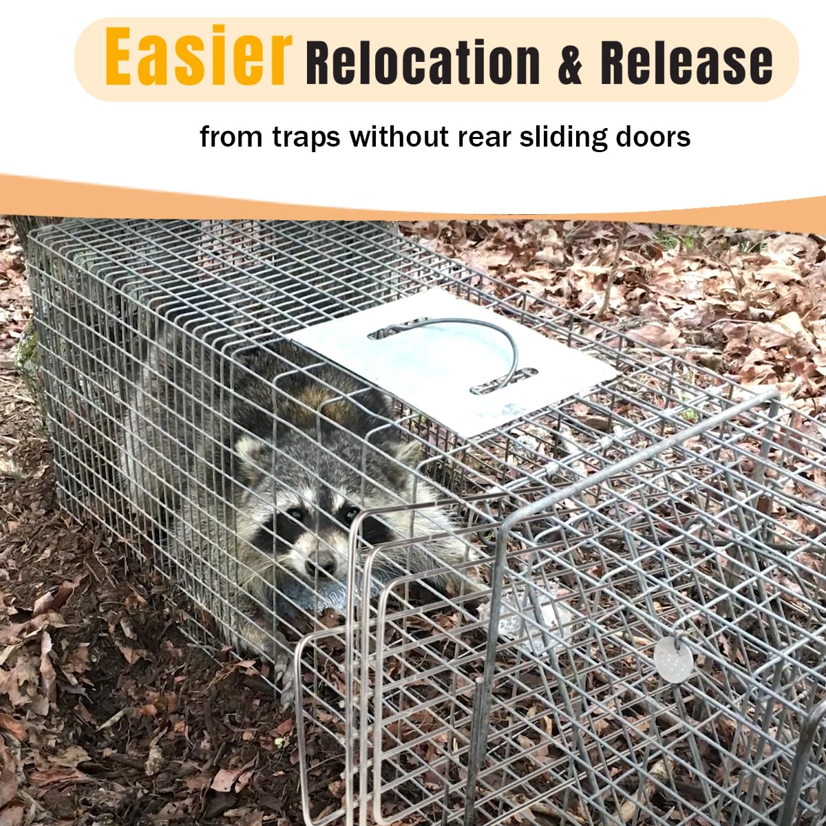 Supports safer trap-and-return workflows for small wildlife.