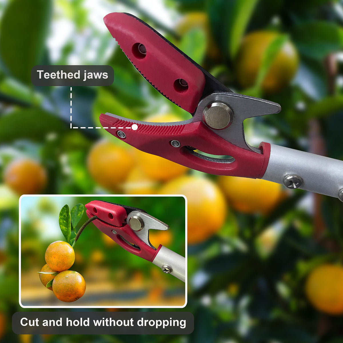 Prunrt clip-and-weed-hook clips weeds and pulls limbs safely.