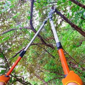 Prunrt loppers extendable length with a lock for customizable pruning reach.