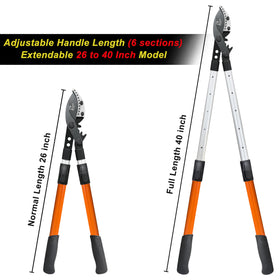 Prunrt loppers show Sync Drive leverage for powerful cuts on tough limbs.