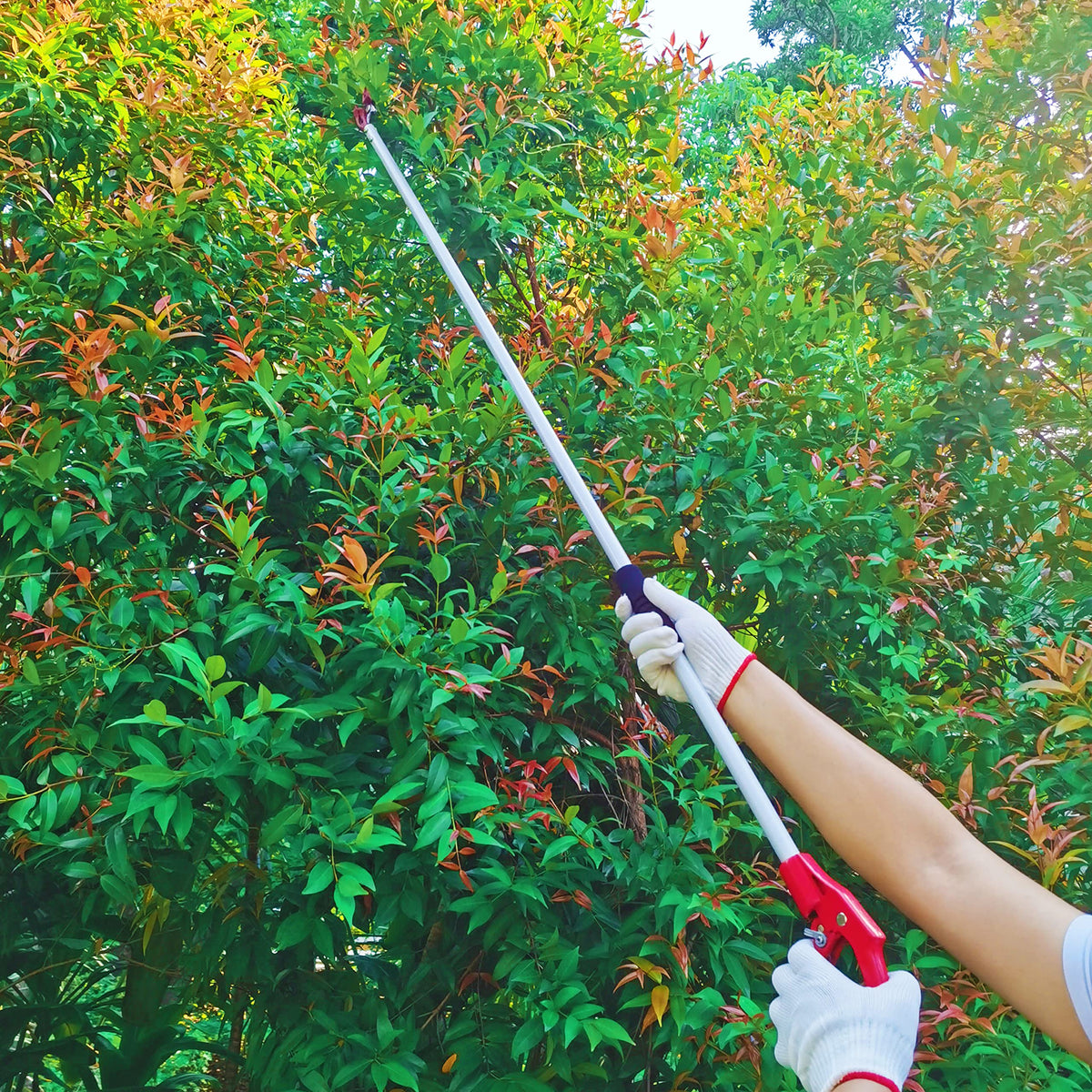 Prunrt spring-action pruner reduces wrist fatigue during cuts.