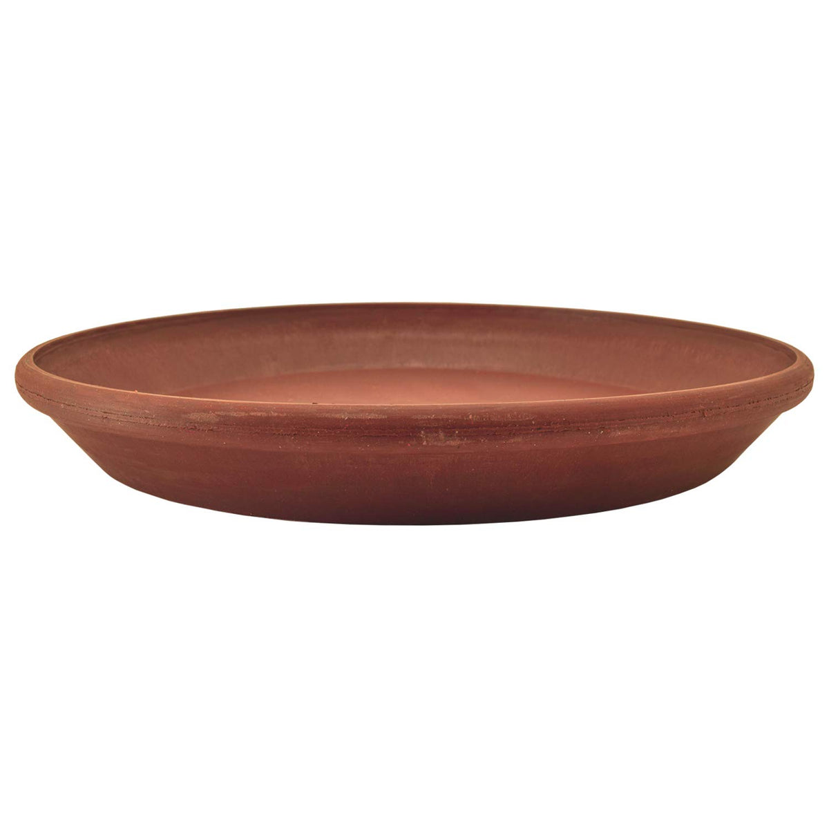 Terracotta PSW saucer under a potted plant on a table.