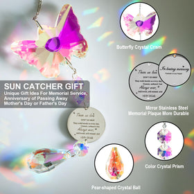 Ptcrut sunshine rainbow lighting brightens living spaces throughout the day