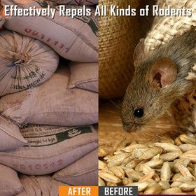 PUBAMALL peppermint-odor rodent-deterrent ball for indoor use.