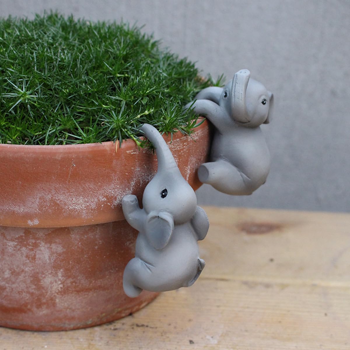 Pujipu cute plant hanger ornament brightens yard or patio spaces.