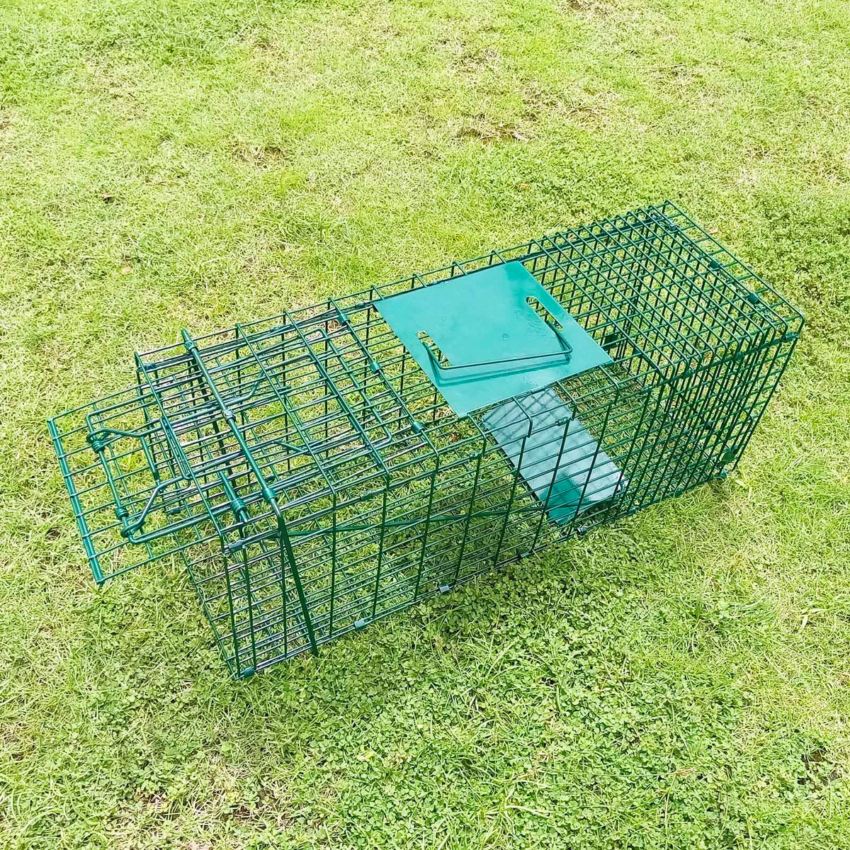 PULOMI trap folded and closed for space-saving storage