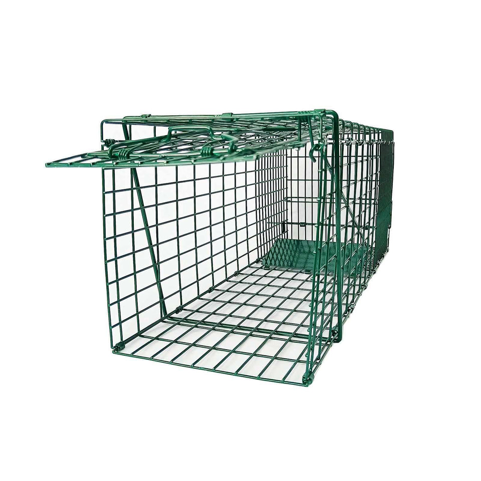 PULOMI collapsible trap front view in green, showcasing sturdy construction for humane capture