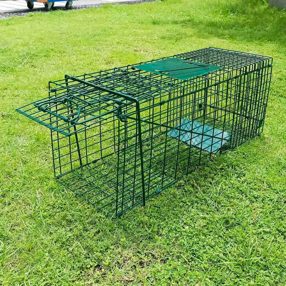PULOMI collapsible trap side profile in green, highlighting compact storage and portability