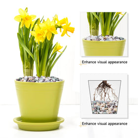 Pulovin pea gravel for bamboo arrangements, adds texture and soil protection.