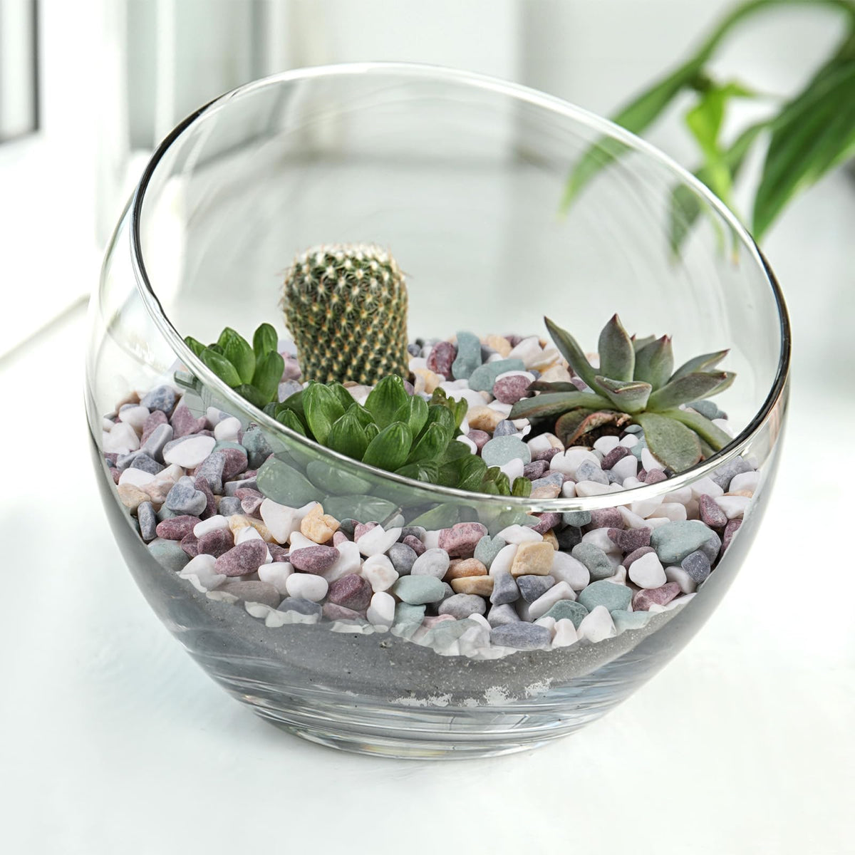 Pulovin 2.5 lb pea gravel, eco-friendly natural stones for long-lasting decor.