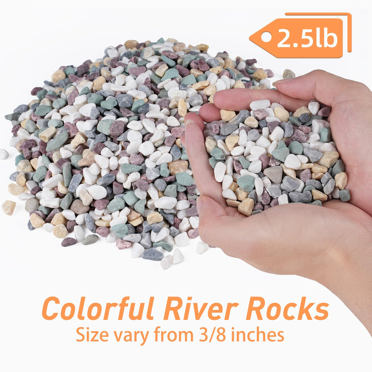 Pulovin pea gravel for succulent displays, promotes drainage and stylish top dressing.