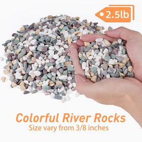 Pulovin pea gravel for succulent displays, promotes drainage and stylish top dressing.