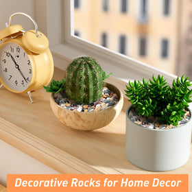 Pulovin pea gravel in vases, creates color contrast and a stable base.