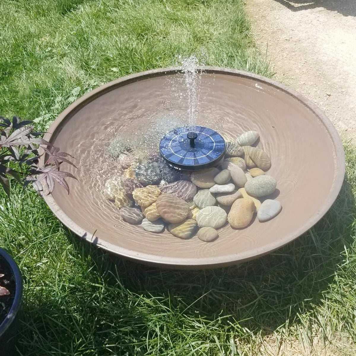 Pulovin aquarium stones for a safe habitat in tanks