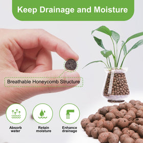 Pulovin LECA pebbles in an aquaponics system support the water-plant interface.