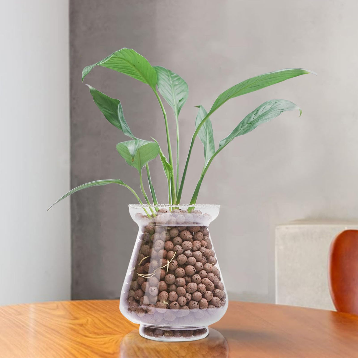 Pulovin LECA pebbles in a soilless culture, enabling versatile indoor plant setups.