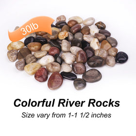 Pulovin river rocks decorative stones for gardens inspire vibrant plant displays.