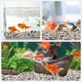 Pulovin terrarium and plant decor pea gravel offers versatile styling options