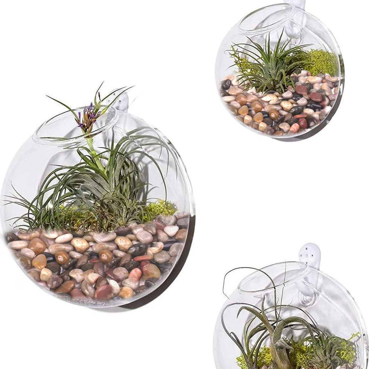 Pulovin garden decor pebbles provide eco-friendly, long-lasting decoration.