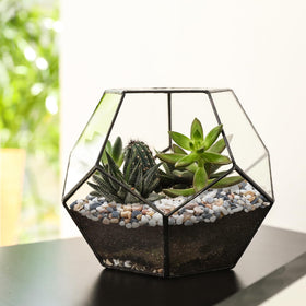 Pulovin vase decor pea gravel adds subtle texture to glass displays