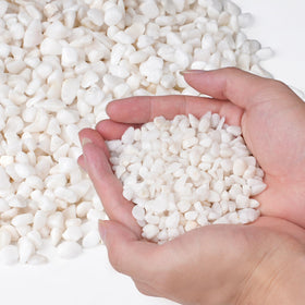 Pulovin white aquarium gravel one-fifth inch enhances tank decor and drainage.