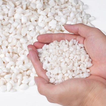 Pulovin white aquarium gravel one-fifth inch enhances tank decor and drainage.