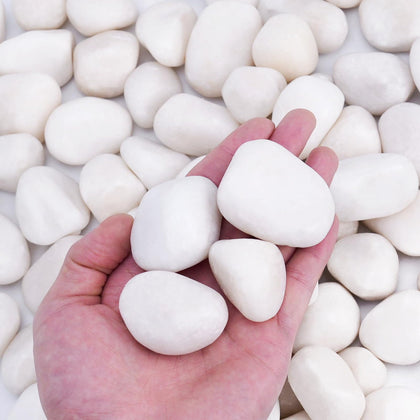 Pulovin white rocks 1-2 inch for pots, adds clean elegance to indoor plants.
