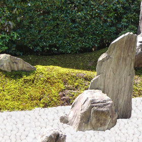 Pulovin white rocks play well with plants and filtration for soil protection.
