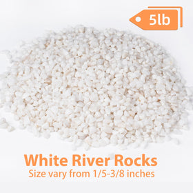 Pulovin white rocks for plants and succulents brighten displays.