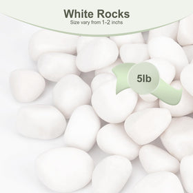 Pulovin white rocks for indoor gardens, brightening shelves with pure, polished surfaces.