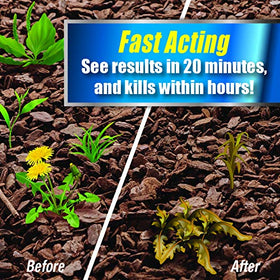 Pulverize preplant weed control for ready-to-plant beds